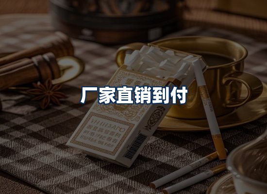 专业团队办公环境